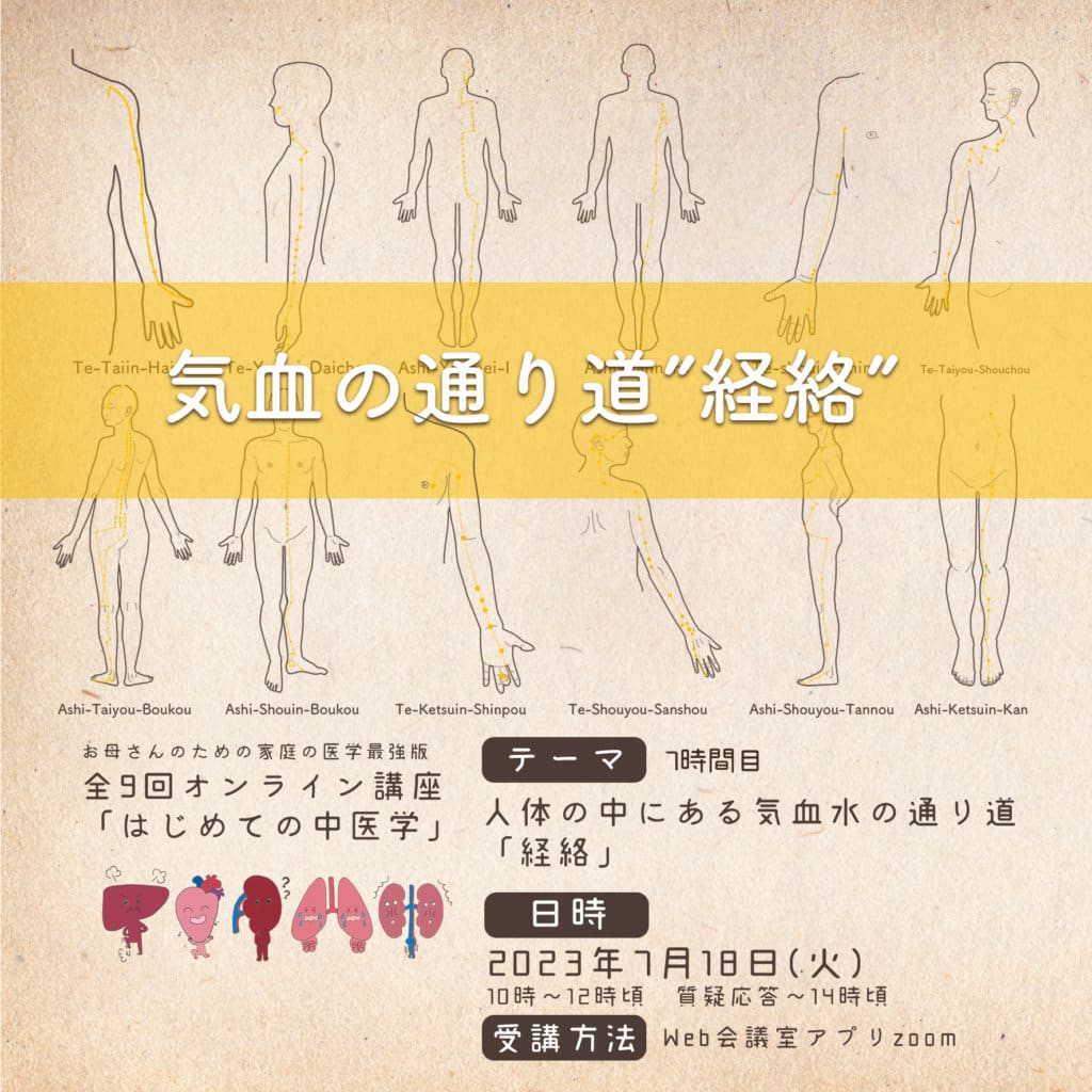 【受付終了】2023年7月11日（火）オンライン講座「はじめての中医学」7時間目[人体の中にある気血水の通り道「経絡」] | むしろ台所診療所